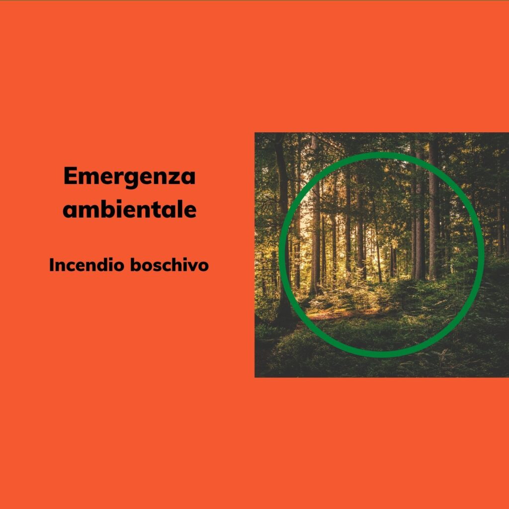 Emergenza Ambientale: Incendio Boschivo